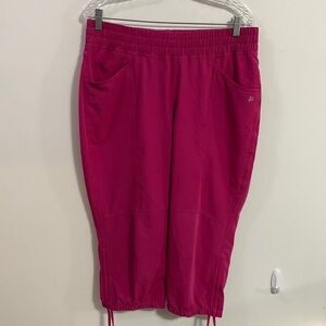 Skirt Sports Cropped Active pants Size Medium see measurements